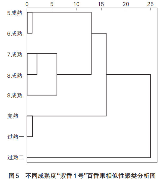 智能感官|基于電子舌和理化特征分析成熟度對(duì)百香果食用品質(zhì)的影響7