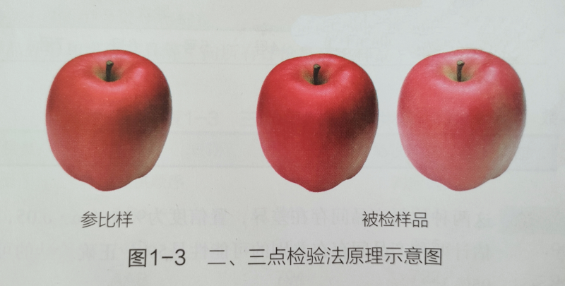 【二、三點檢驗法】教你如何正確進行科學的感官評價方法1
