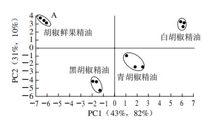 【智能感官】4 種胡椒精油風味特征分析7
