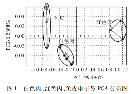 【智能感官】基于電子鼻的鯽魚肉新鮮度研究1