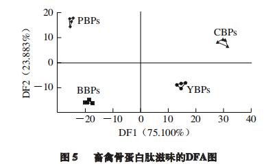 【智能感官】基于電子舌檢測(cè)快速判別不同物種畜禽骨蛋白肽9