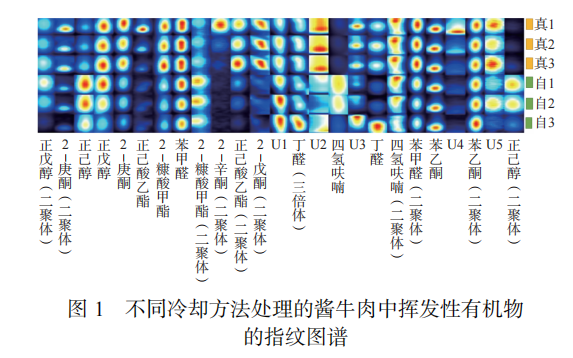 智能感官】基于 HS-SPME-GC-MS 和 GC-IMS 結合電子鼻分析真空冷卻對醬牛肉風味的影響5