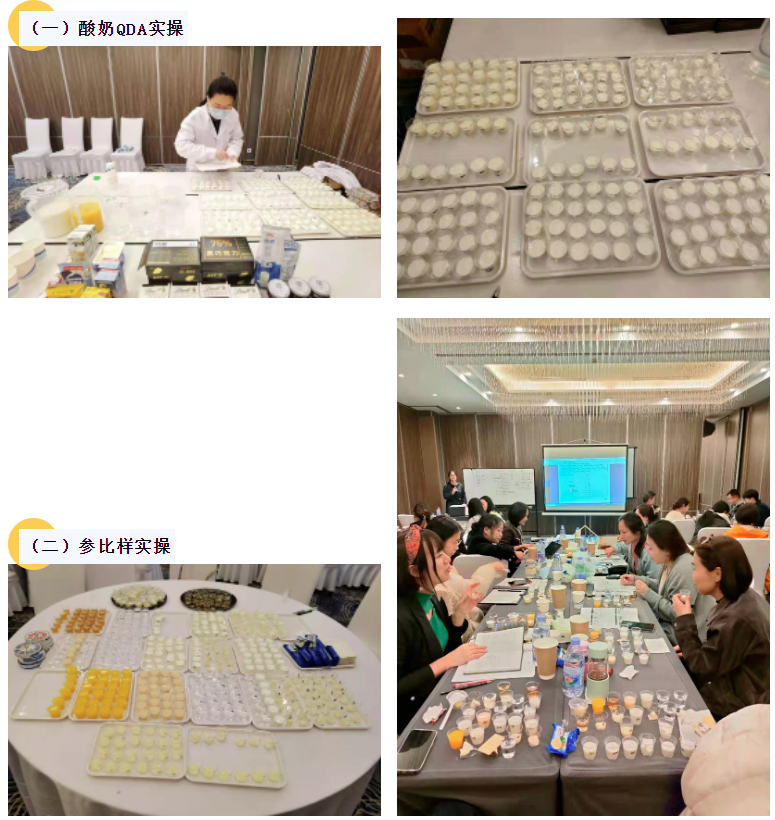 3月感官分析實操培訓班 QDA CATA15