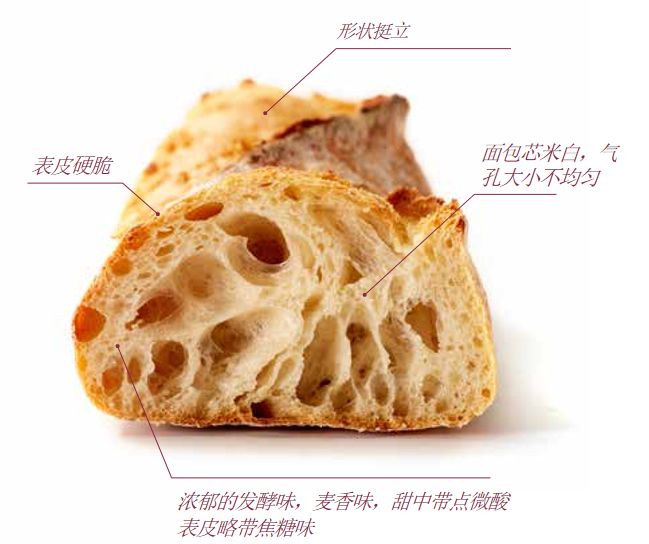 “高品質”法棍及其他面包感官分析鑒定