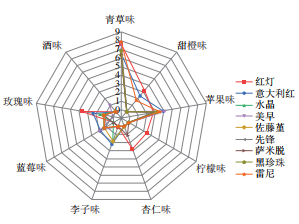 水果風(fēng)味常用描述詞及案例分享2