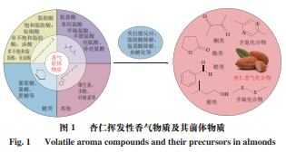 風味化學 杏仁中的香氣化合物及熱加工對香氣的影響1