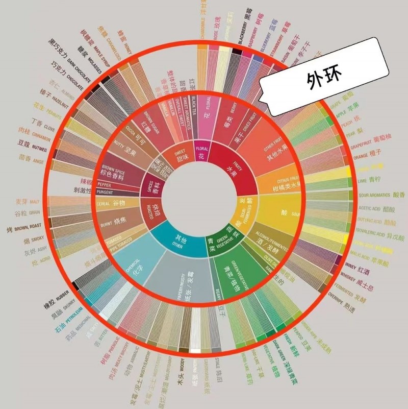 【寵粉福利】帶你了解感官風味輪背景、特點及使用方法4