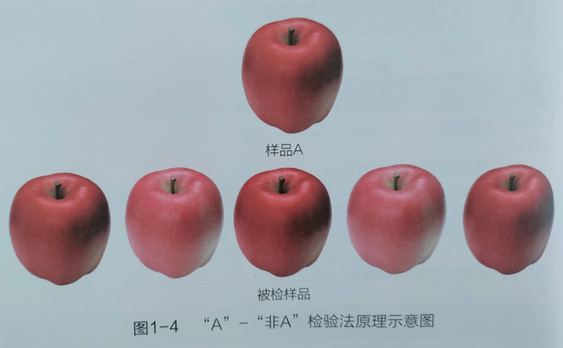 【“A”-非“A”檢驗(yàn)法】教你如何正確進(jìn)行科學(xué)的感官評價方法1