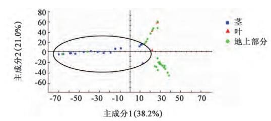 【智能感官】基于電子眼技術的穿心蓮質量評價4