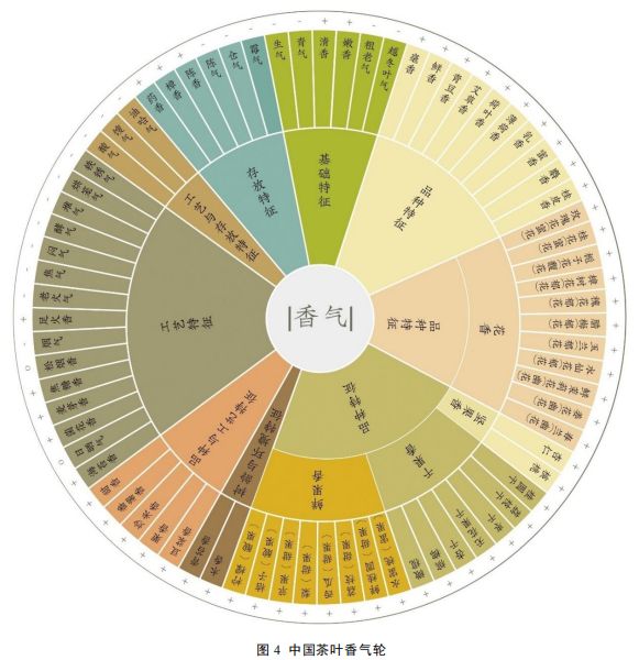 知識分享 I 中國茶葉感官審評術語基元語素研究與風味輪構建13