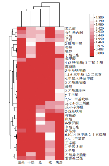圖2 沙棗經不同預處理后的特征香氣物質含量變化熱圖