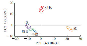 圖5 不同預處理方式的沙棗樣品PCA圖